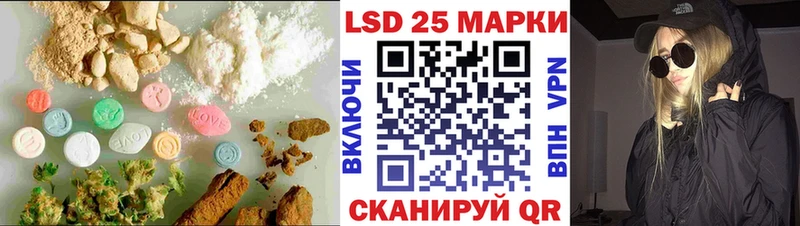 где продают наркотики  Каргополь  ЛСД экстази ecstasy 