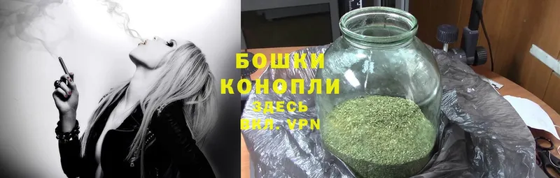 Бошки марихуана OG Kush  Каргополь 